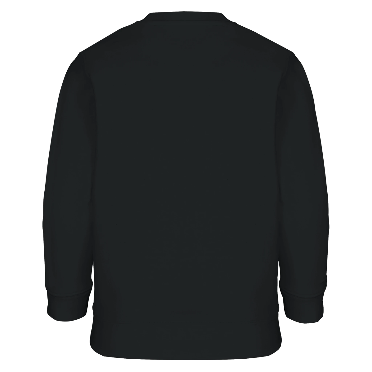 Sweat-shirt Enfant Éco - responsable - Transformation Super Saiyan de Ruka | Dragon Ball Sweat-shirt - KAWAII FAVIE